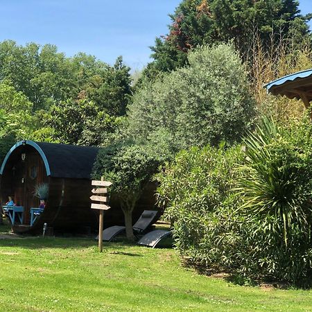 La Bastide De Negra Bed & Breakfast Montesquieu-Lauragais Ngoại thất bức ảnh