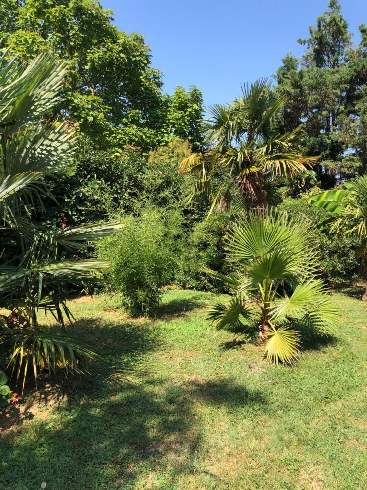 La Bastide De Negra Bed & Breakfast Montesquieu-Lauragais Ngoại thất bức ảnh