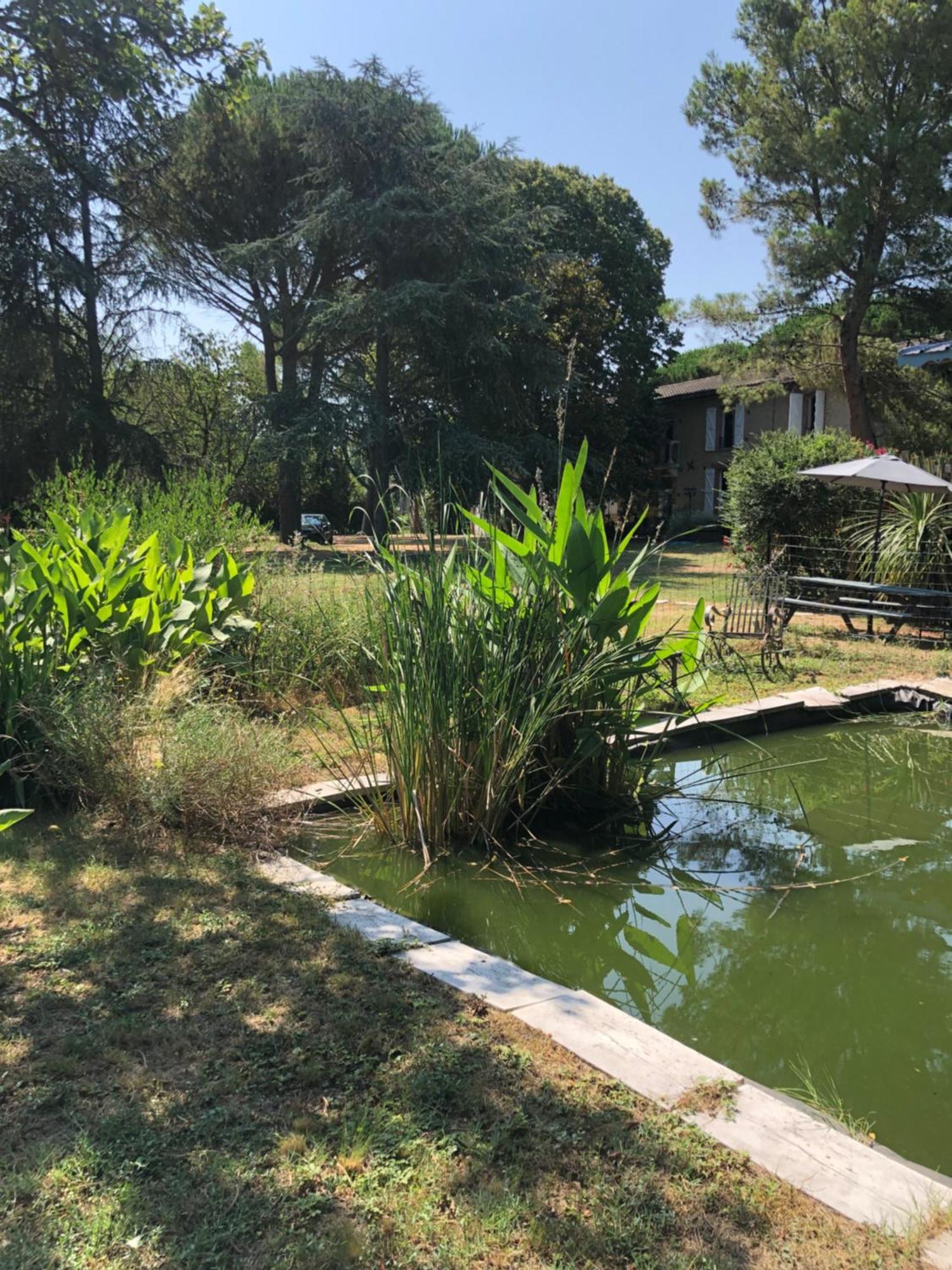 La Bastide De Negra Bed & Breakfast Montesquieu-Lauragais Ngoại thất bức ảnh