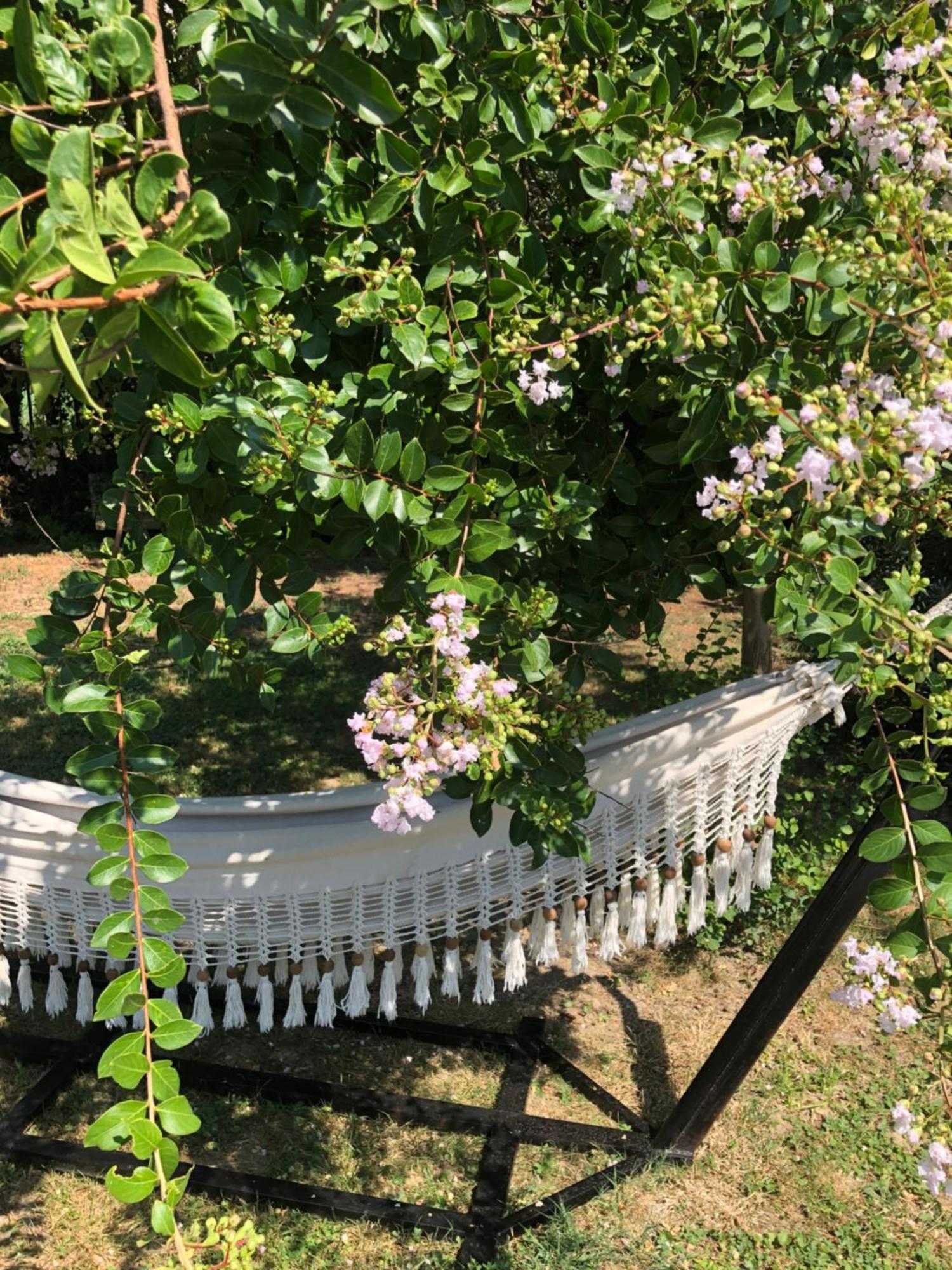 La Bastide De Negra Bed & Breakfast Montesquieu-Lauragais Ngoại thất bức ảnh