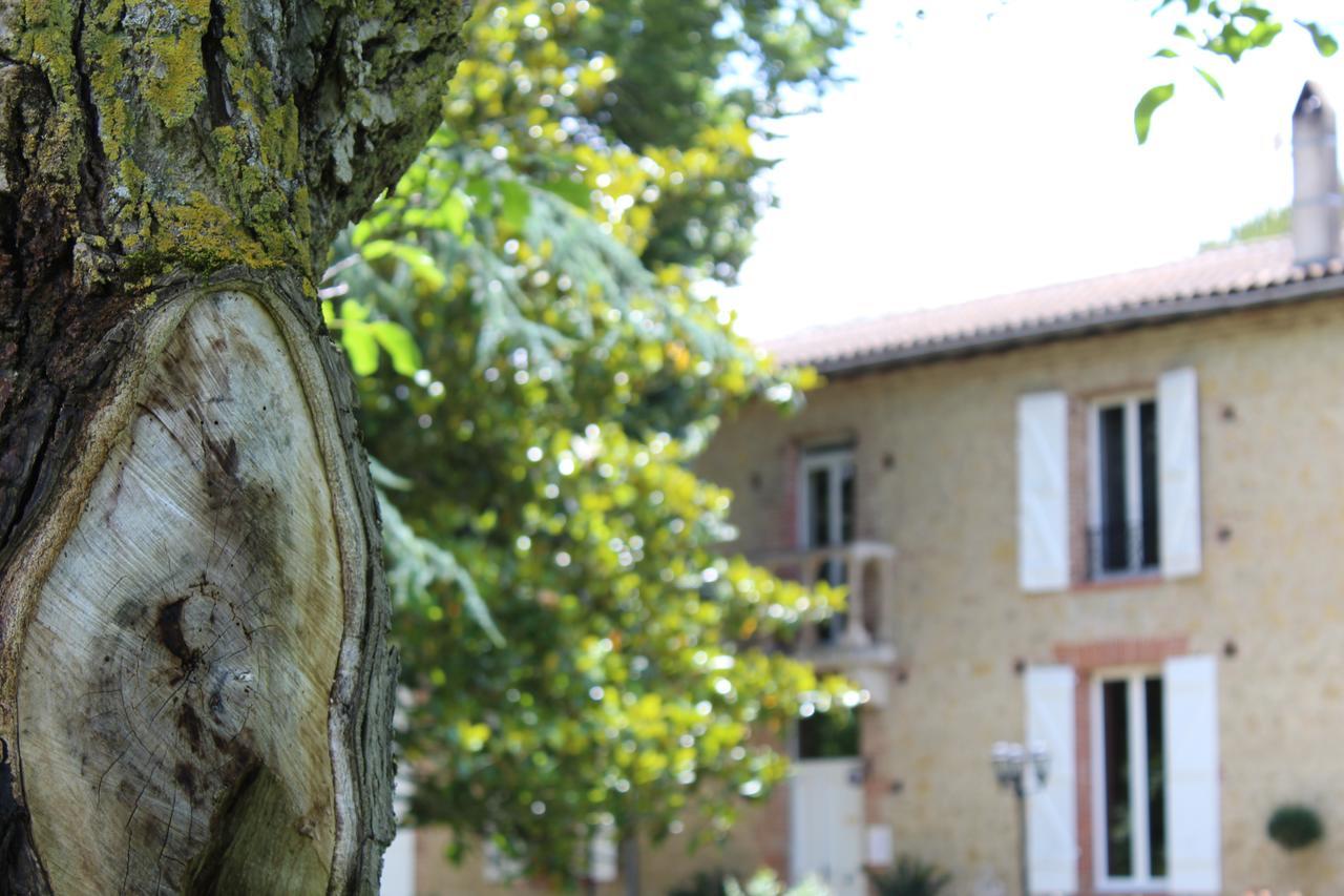 La Bastide De Negra Bed & Breakfast Montesquieu-Lauragais Ngoại thất bức ảnh