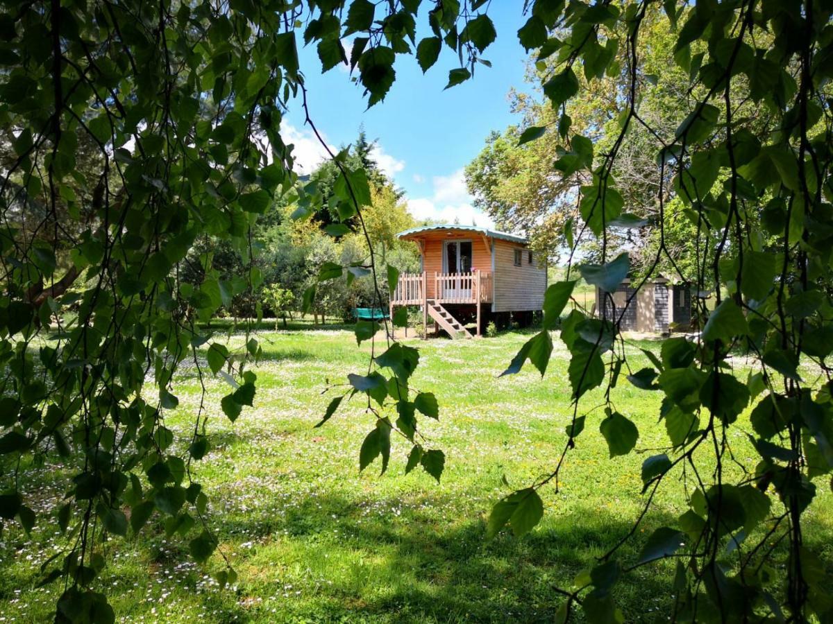 La Bastide De Negra Bed & Breakfast Montesquieu-Lauragais Ngoại thất bức ảnh